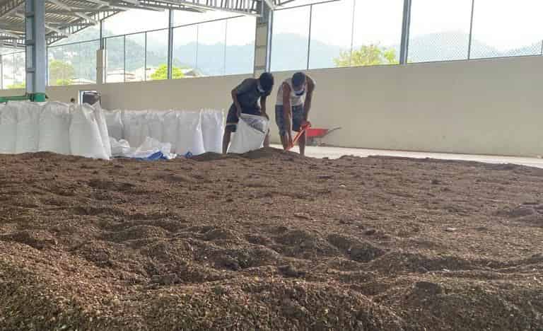Transforming Kitchen Waste into Green Gold