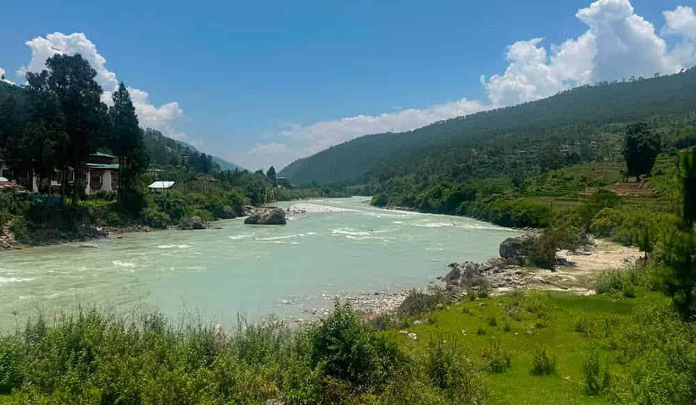 Rafting Endangers Rare Heron in Bhutan
