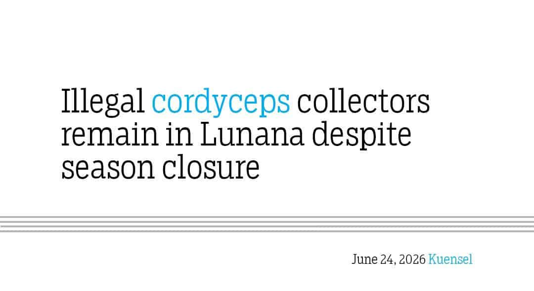 Illegal Cordyceps Collectors Persist in Lunana