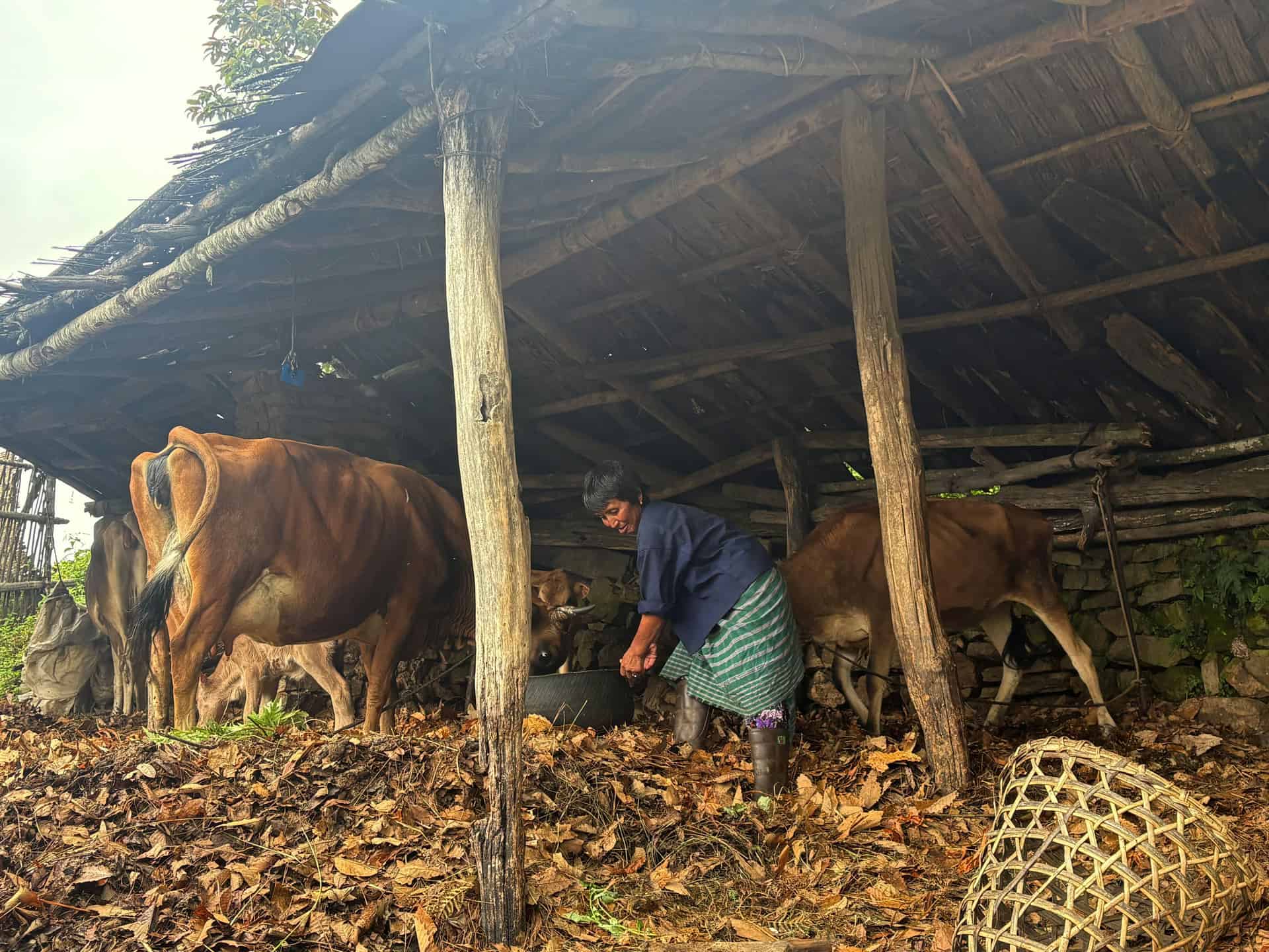Biogas Innovation Reduces LPG Use in Chhaling Gewog