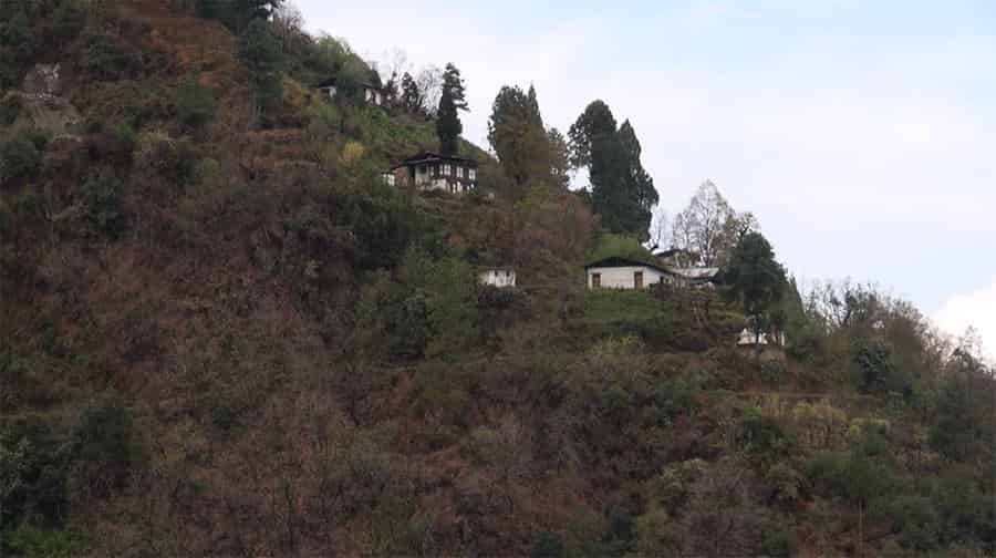 Walking Through Forests to Educate Children