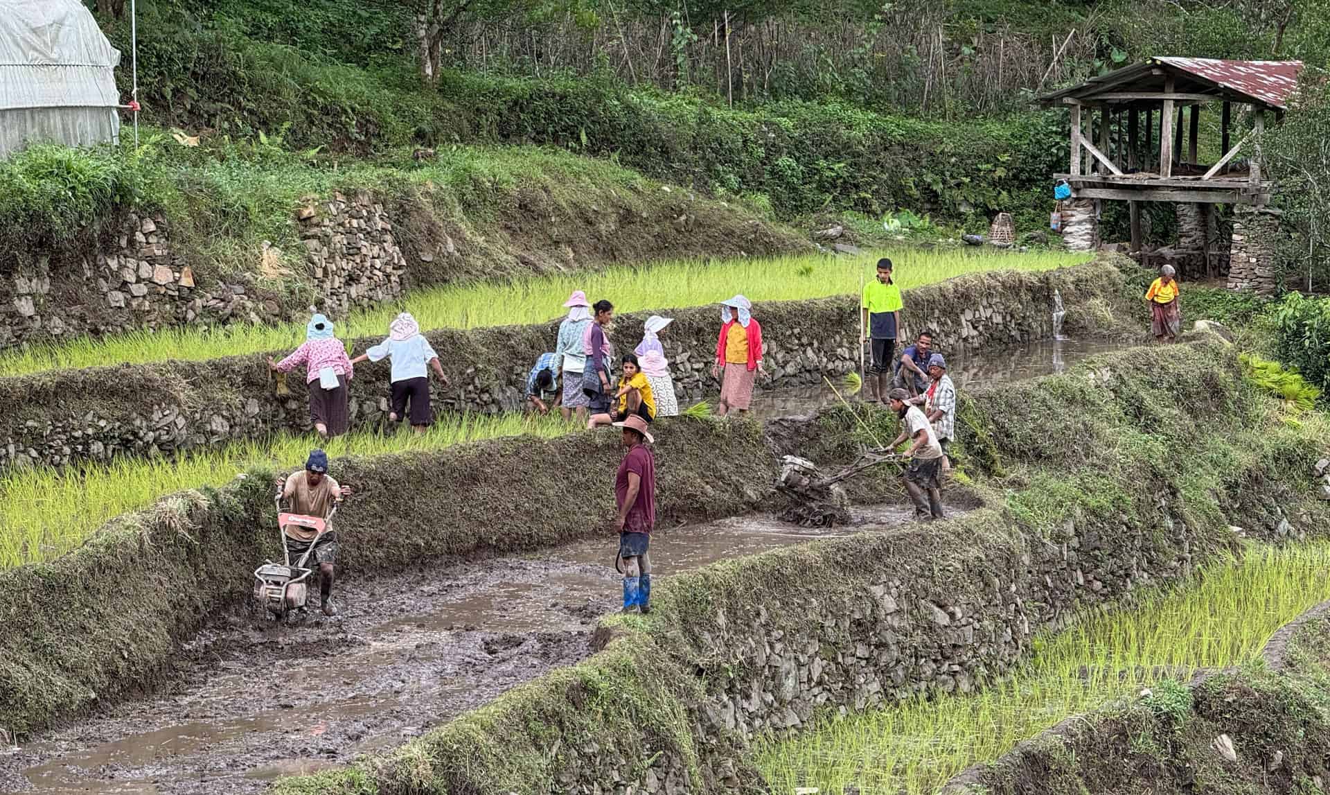 Shrinking Farmland Threatens Food Security