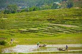 Government Secures Fertiliser Supply for Spring Planting