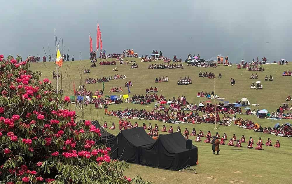 Rhododendron Festival Attracts Record Crowds