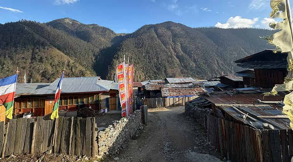 Merak's Homestay Surge Amid Rhododendron Festival