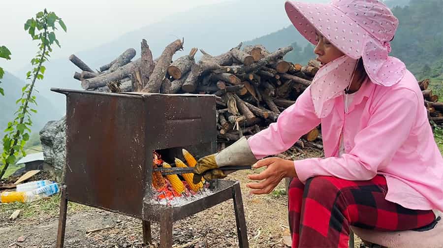 Monggar's Maize Boom: Early Harvest Brings Big Gains