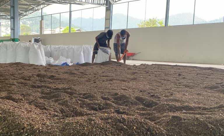 Transforming Kitchen Waste into Green Gold