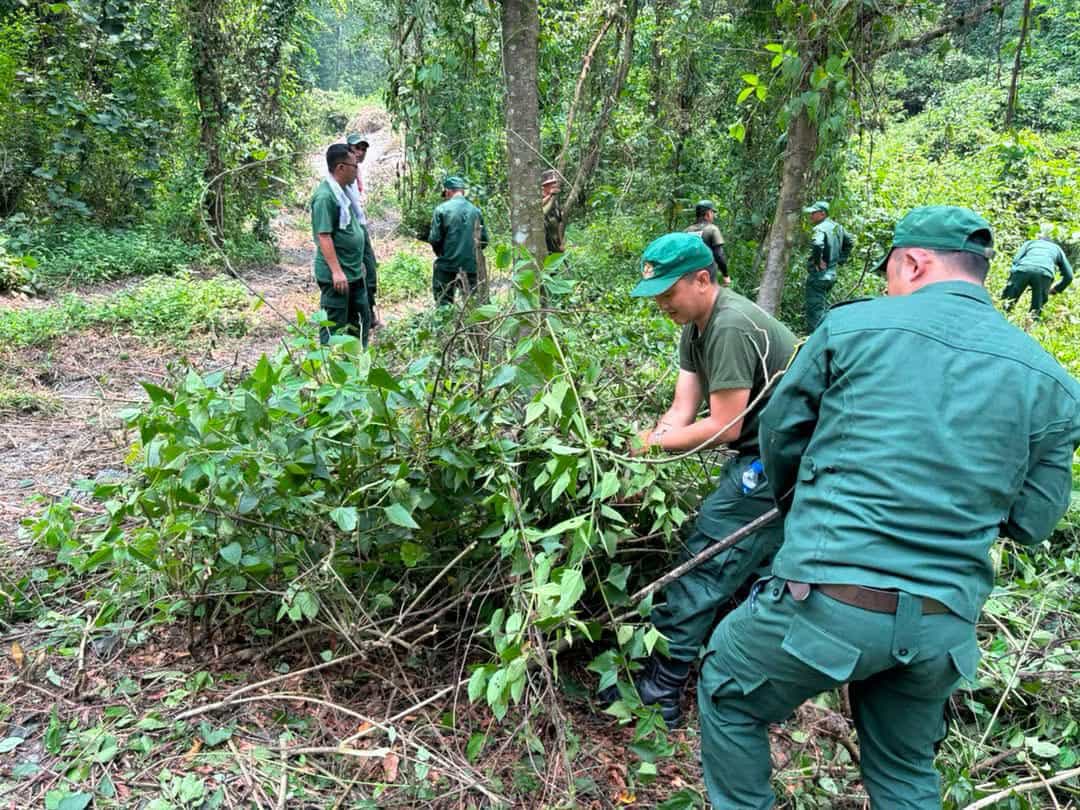 Sarpang Rangers Revitalize Ecological Corridor