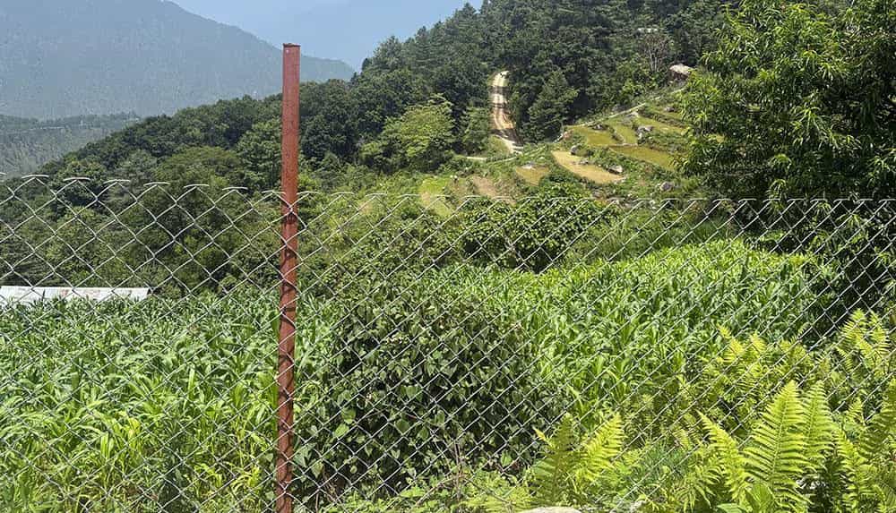 Chain-Link Fencing Empowers Bhutanese Farmers