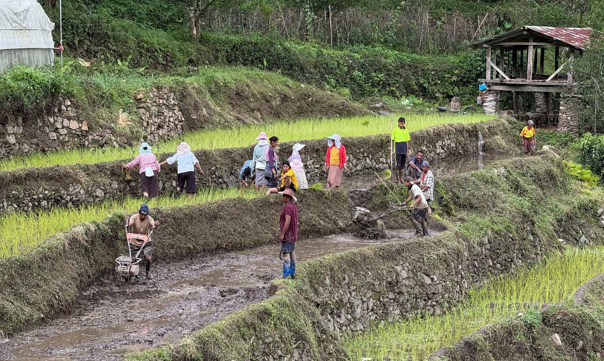 Shrinking Farmland Threatens Food Security