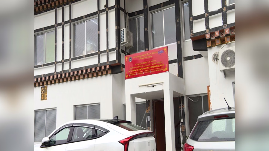 Bhutan's Bold Vision: Two USD 50M Enterprises by 2030