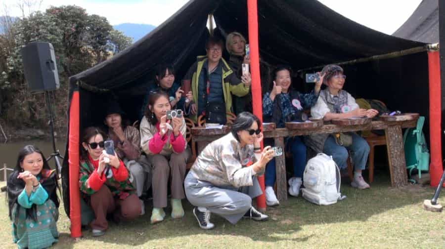 Rhododendron Festival Attracts More Tourists