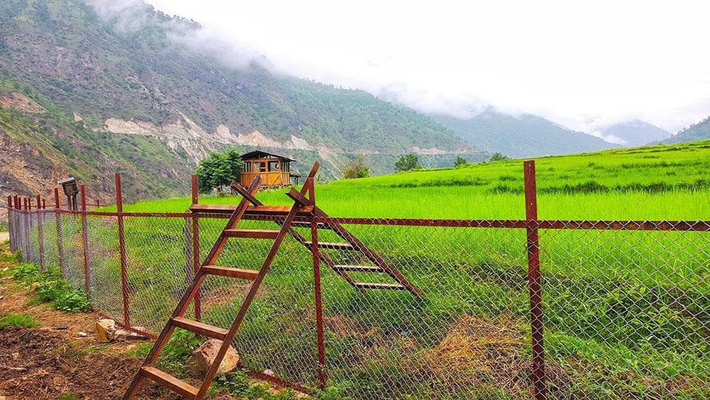 Rural Bhutan Faces Fencing Challenges as Population Ages