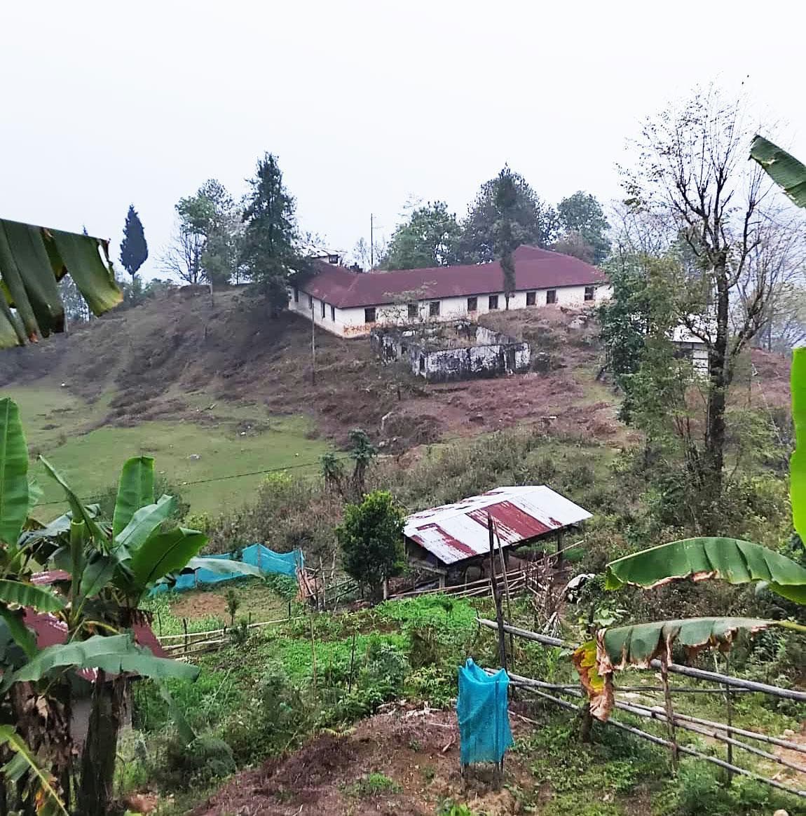 Women Revive Abandoned School with Farming Project