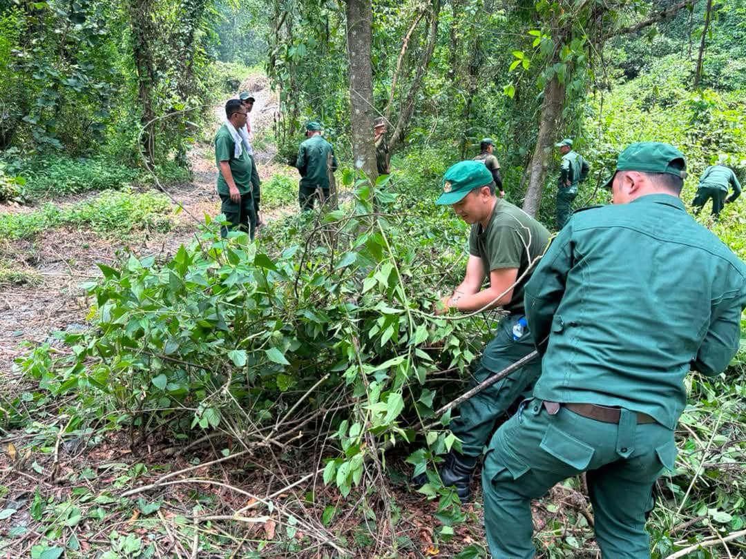 Sarpang Rangers Revitalize Ecological Corridor