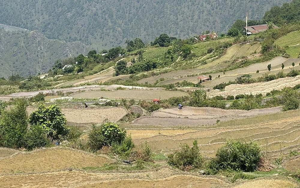 Irrigation Revives Farmland in Chagsakhar