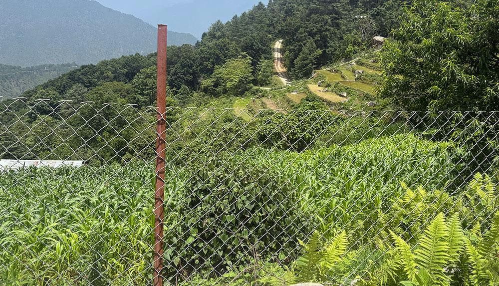 Chain-Link Fencing Empowers Bhutanese Farmers
