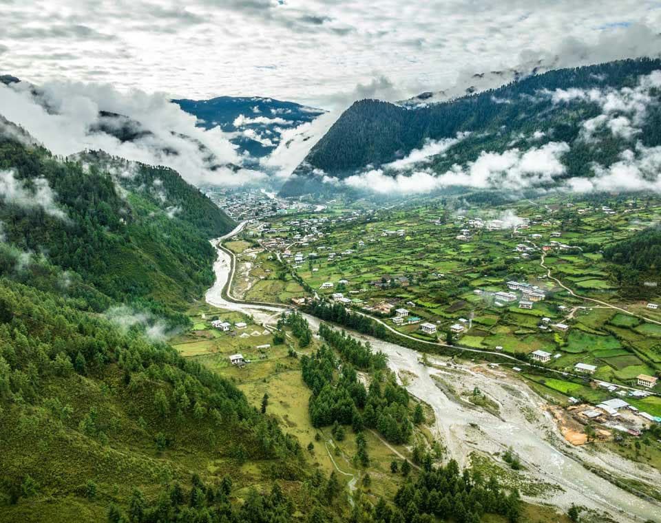 ACC Halts 18 Sawmills Amid Corruption Probe