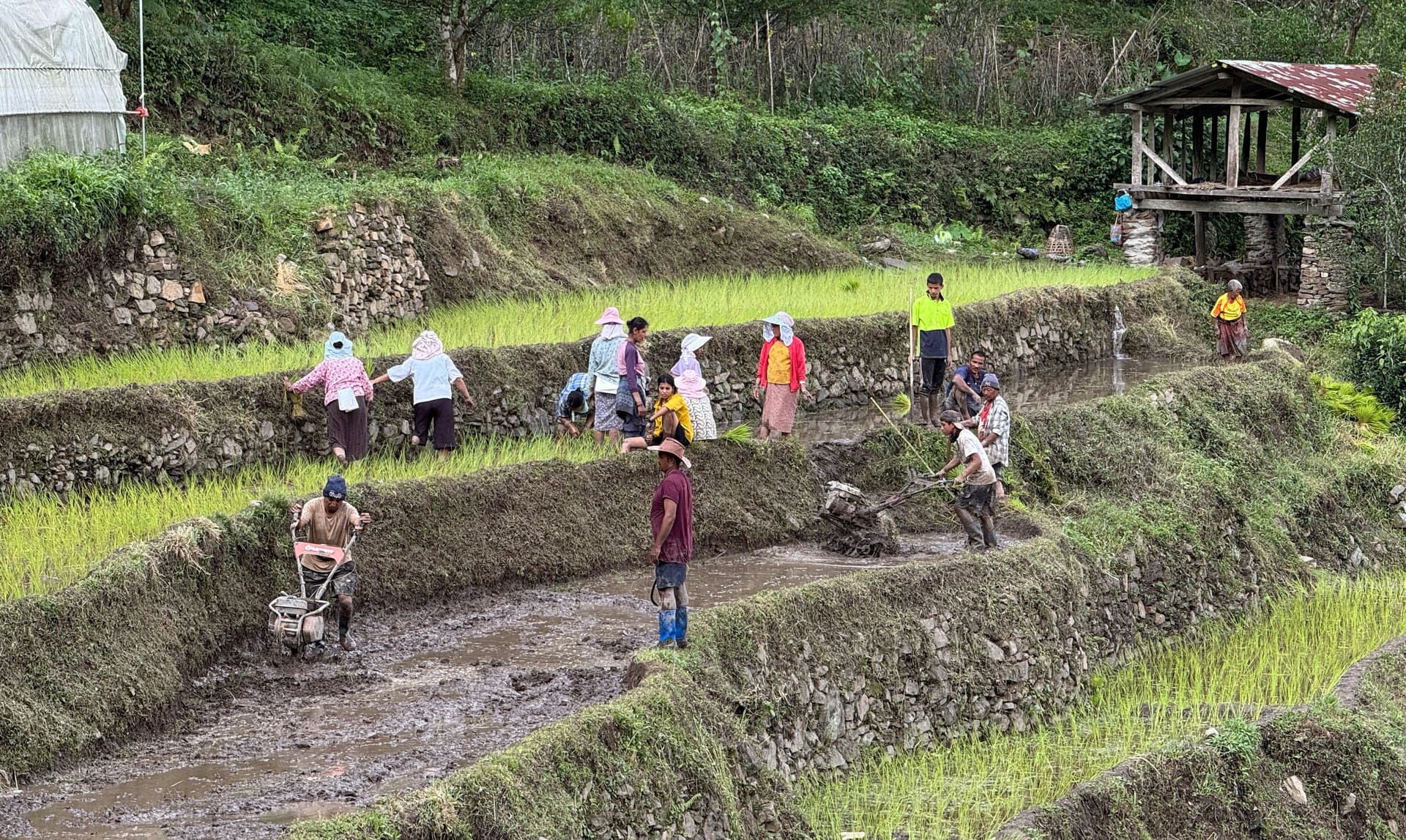 Shrinking Farmland Threatens Food Security
