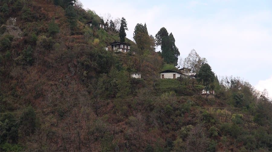 Walking For Education: Forest Paths to Learning