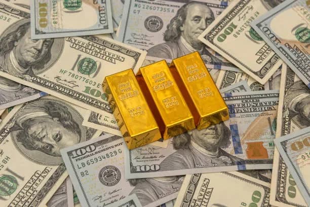 Forex Reserves Surge to USD 1.15B in February