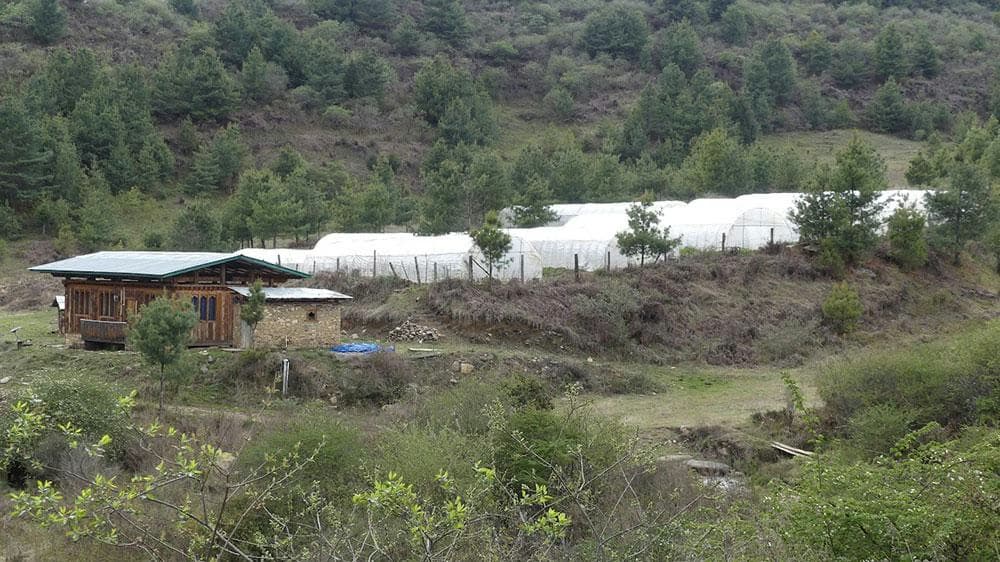 The Costly Fiasco of Bhutan's WOW Farm
