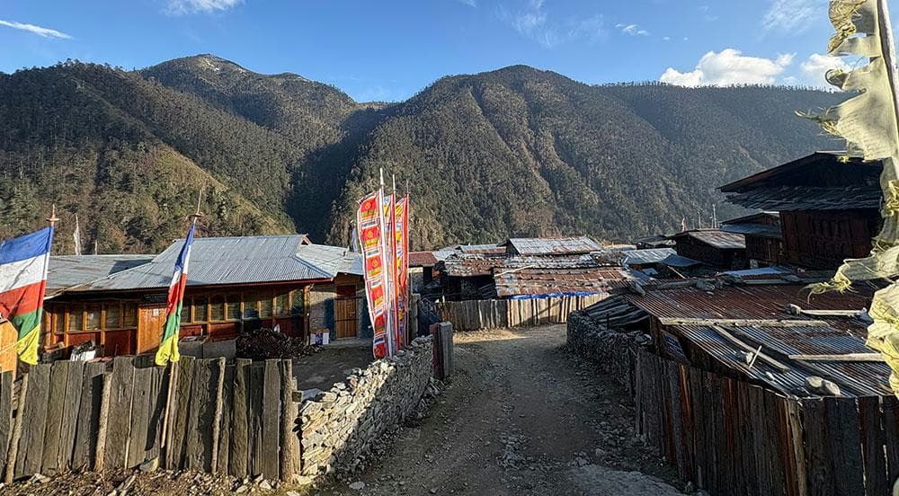 Merak's Homestay Surge Amid Rhododendron Festival