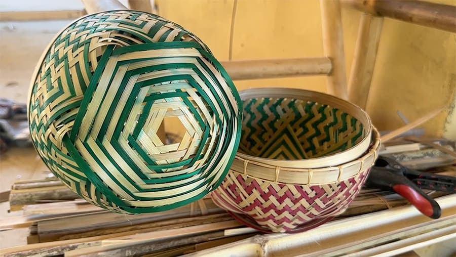 Unlocking the Economic Power of Bamboo and Cane