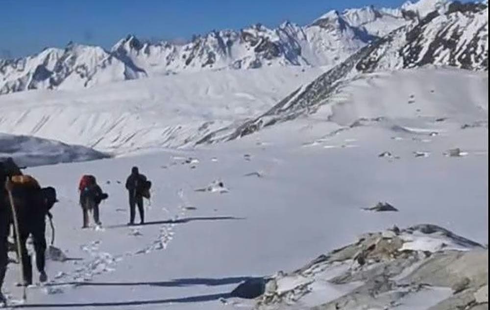 Tensions Rise Over Cordyceps Harvest in Bhutan