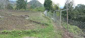 Chain-Link Fencing: A Double-Edged Sword