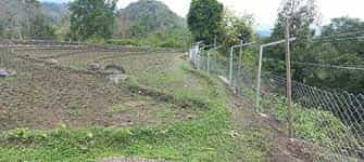 Chain-Link Fencing: A Double-Edged Sword