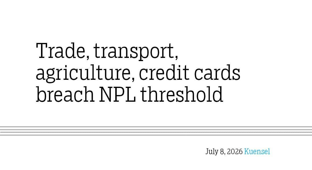 Economic Sectors Surpass NPL Thresholds: A Closer Look