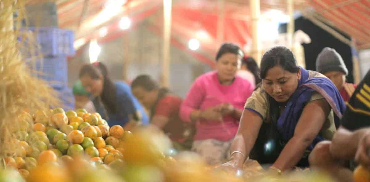 Bhutan's Food Supply: Import Dependency Challenges