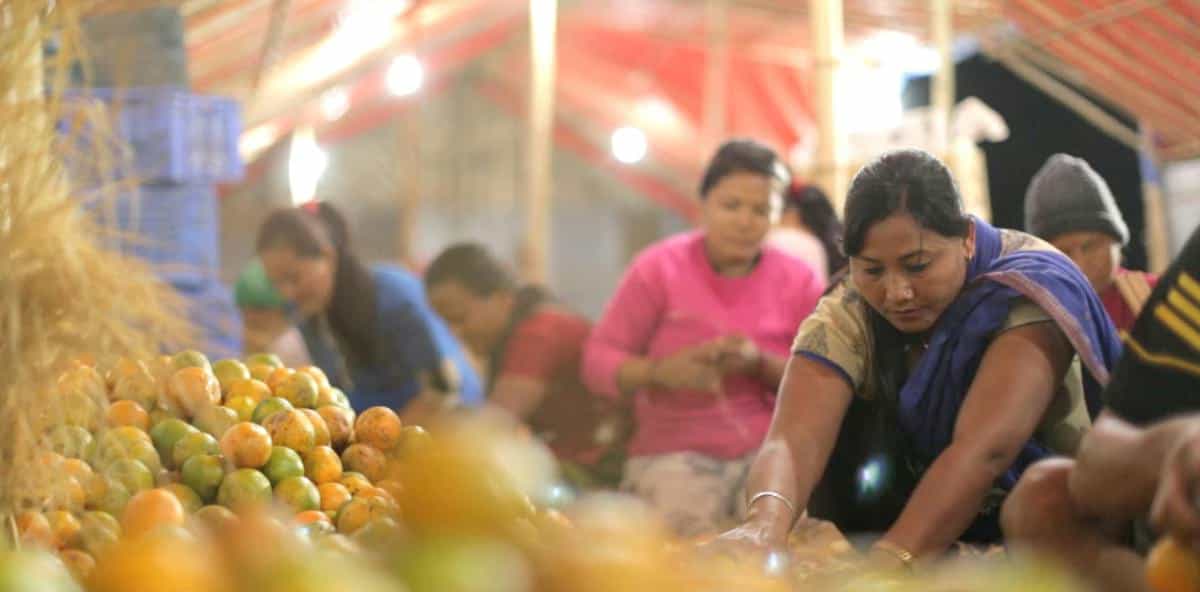 Bhutan's Food Supply: Import Dependency Challenges
