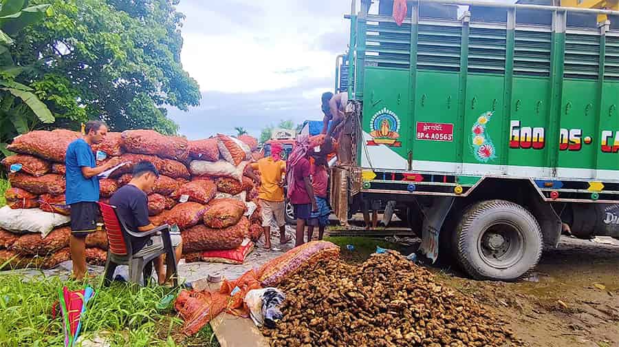 Indian Demand Spurs Ginger Price Surge