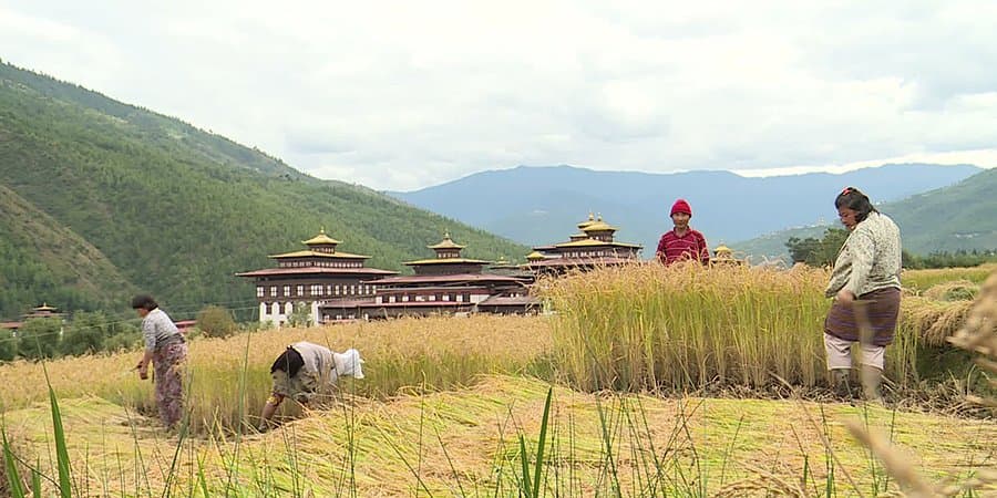 Progress Stalls for Crop & Livestock Insurance πΎπ