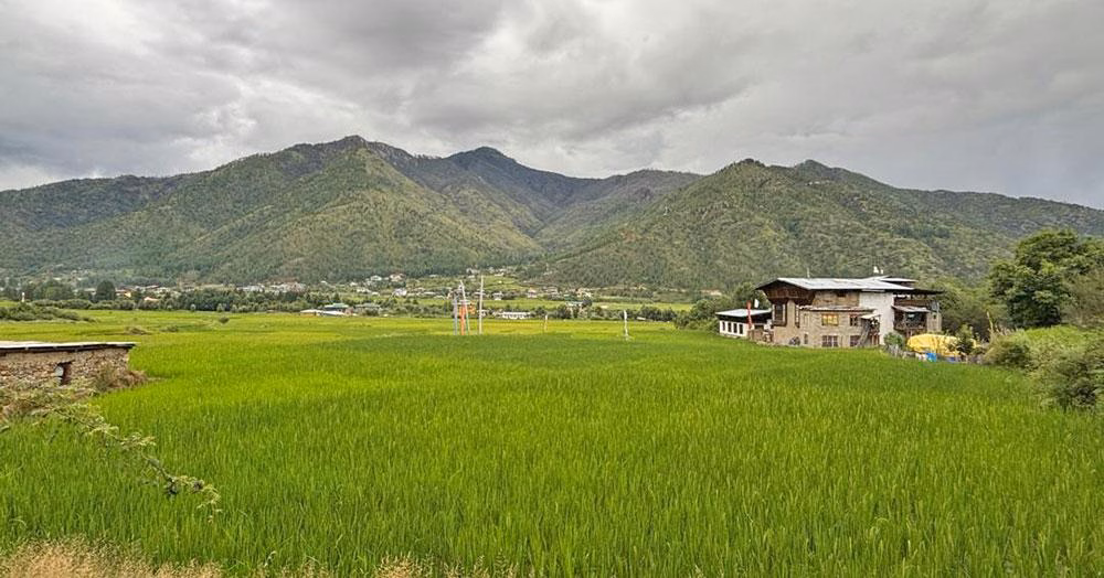 Agriculture Sector Struggles to Meet Emission Reduction Targets